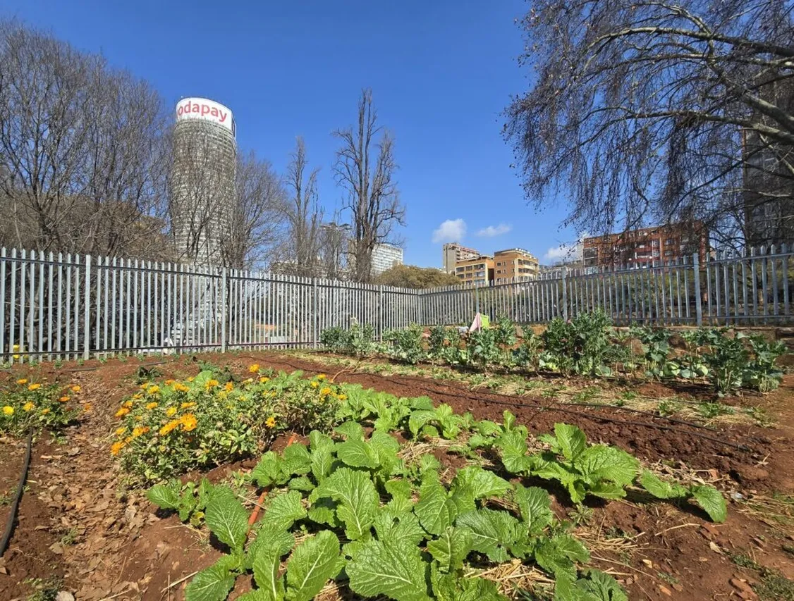 Food garden 1024x776