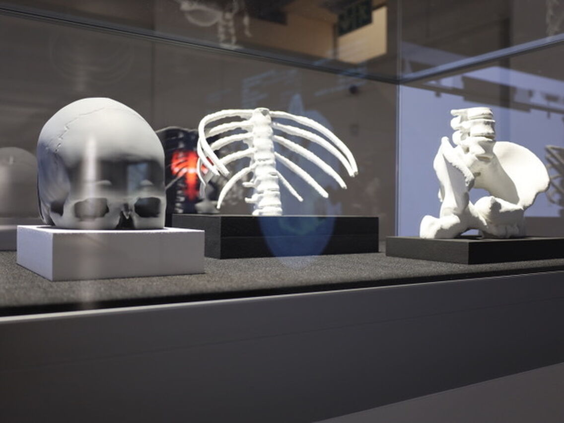 SH 8 MAN SHOUTING INSTALLATION SHOTS